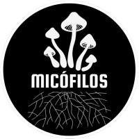 NGO Micofilos logo - Similar company to Mobichamp