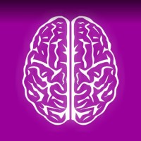 Cerebrus Activus Lda