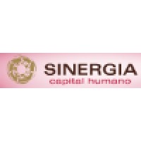 Sinergia Consultoria de Negocios logo - Similar company to Appwise Innovations