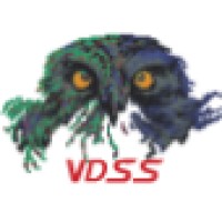 VDSS logo - Similar company to Fryqua