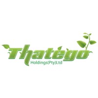 Thatego Holdings (Pty) Ltd logo - Similar company to Prodromos Technologies