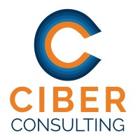 CIberConsulting_mx logo - Similar company to Fundación Alemana Servicios