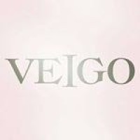 VEIGO logo - Similar company to Veigo