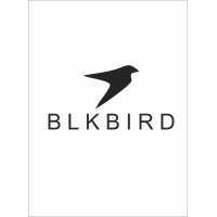 BLKBIRD logo - Similar company to Headgen.Ai