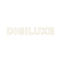 Digiluxe logo - Similar company to Web Services Sh
