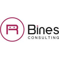 R Bines Consulting logo - Similar company to Busae