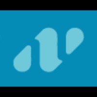 Nexus Central logo - Similar company to Interactive Design Solutions