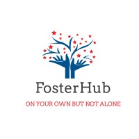 FosterHub logo - Similar company to See Kids Dream (Dfyf)