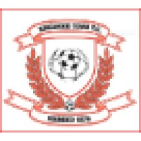 Ringwood Town Fc
