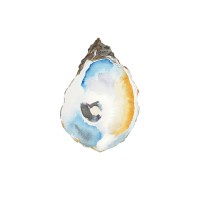 Sea-Suite Kitchen logo - Similar company to Data Import Eirl