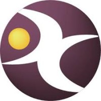 Dragonchip Limited logo - Similar company to Ntx Embedded
