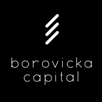Borovicka Capital logo - Similar company to Zircontech Summit