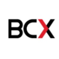BCX logo - Similar company to Bcx Botswana