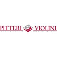 Pitteri Violini S.p.a logo - Similar company to Solutions Group Srls
