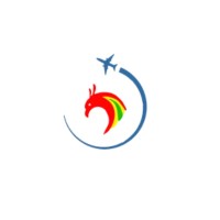 Jet Global Airways (Guyana) logo - Similar company to Elite Airways