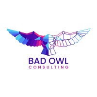 Bad Owl Consulting Oy logo - Similar company to Elenium Oy