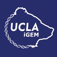 UCLA iGEM logo - Similar company to Igem Tu Eindhoven
