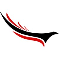 Falcon Skyways logo - Similar company to Mavenbrick