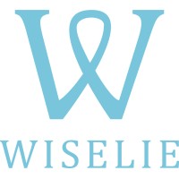 PT Wiselie Indonesia Gemilang logo - Similar company to Creating Creative Solution & Improvement (Ccsi)