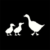 Duck Duck Goose logo - Similar company to Roarsome
