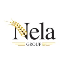 Nela Group logo - Similar company to Adg