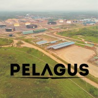 PELAGUS Co logo - Similar company to Ecompass_Oficial