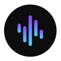 OneLoop logo - Similar company to Anphonic