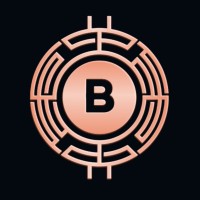 BitFord Digital logo - Similar company to Precision Miners