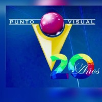 PUNTO VISUAL LTDA logo - Similar company to Saviv Publicidad