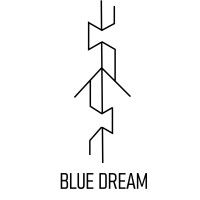 BLUE DREAM Real Estate logo - Similar company to Tres Advisory Group