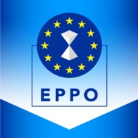 European Public Prosecutor's Office (EPPO) logo - Similar company to Amla - The Eu Anti-Money Laundering Authority