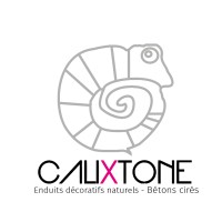 Calixtone logo - Similar company to Atelier D'Architecture Emmanuel Nebout