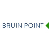 Bruin Point Partners