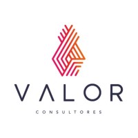 Valor Consultores Associados logo - Similar company to Moreira Suzuki Advocacia Para Negócios