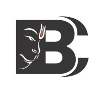 Balaji Computers logo - Similar company to Codecraft Tech Labs