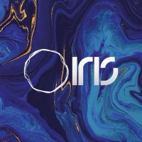IRIS logo - Similar company to Valuing Impact