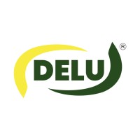 DELU logo - Similar company to Simas Presentes Criativos