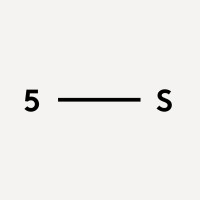 Five5eeds logo - Similar company to Five55