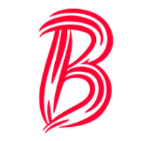 Brands.io logo - Similar company to Nubis