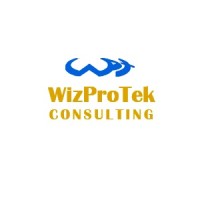 WizProTek Consultants logo - Similar company to B-Eye Solutions (Now Amco Solutions)