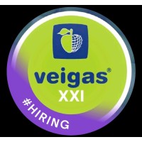 Veigas XXI logo - Similar company to Qulta.Digital