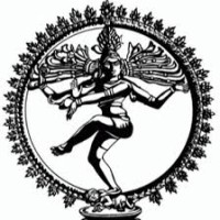 Natraj Infotech logo - Similar company to Suave Technologies