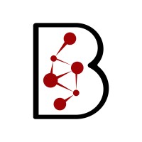 BKR Capital logo - Similar company to Rep Matters