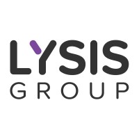 Lysis Group logo - Similar company to Wcities