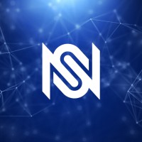 Network Savage logo - Similar company to Network Design Associates, Inc.