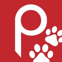 Paws in the Bath logo - Similar company to Domestic Carnivore