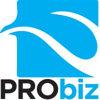 PRObiz Solutions Co., Ltd. logo - Similar company to Probiz Solutions And Management Services