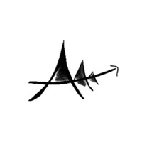 Twin & Bull LLC logo - Similar company to Amplitude