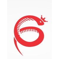 Gogasys IT Solutions logo - Similar company to Caxid Technologies