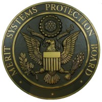 U.S. Merit Systems Protection Board (MSPB) logo - Similar company to Lylac Studio